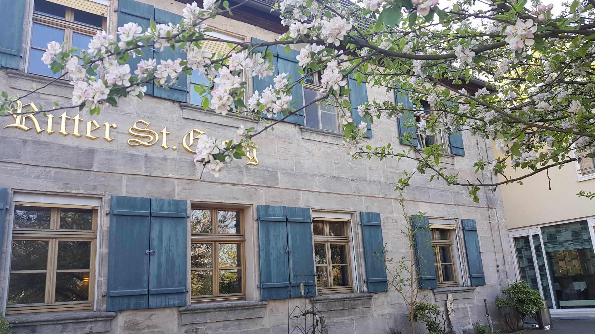 Historische Sandstein-Fassade mit Frühlingsblüten – Gasthof Ritter St. Georg Erlangen